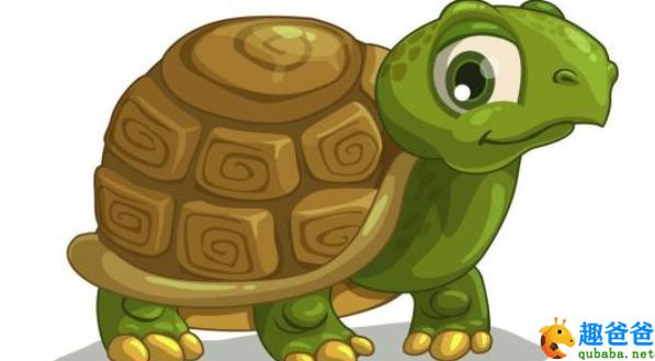 动物故事：胖龟老一档