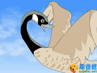 中国童话：大雁的梦想