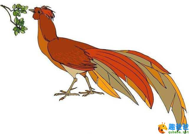 【中国寓言故事】山鸡起舞