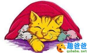 开心时刻：不识数的猫妈妈