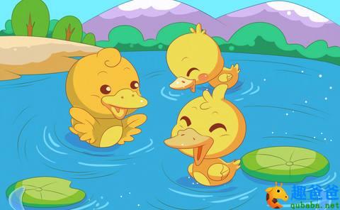 小鸭找家