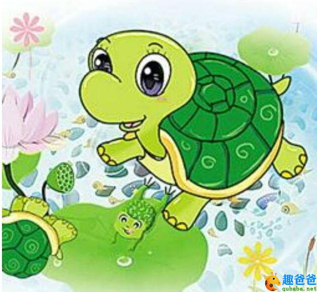 会想办法的小乌龟