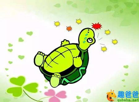 会魔法的小乌龟