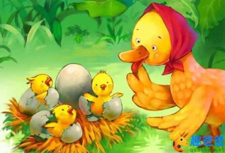 小灰兔和小鸭子（小兔子道歉）