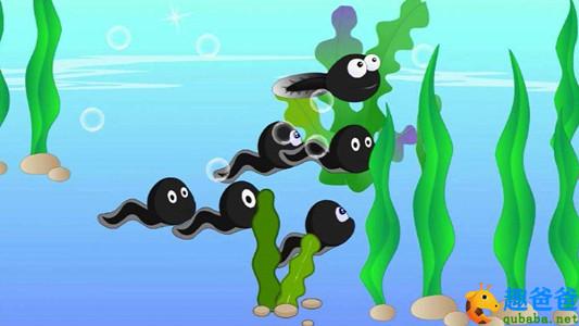 小蝌蚪找妈妈