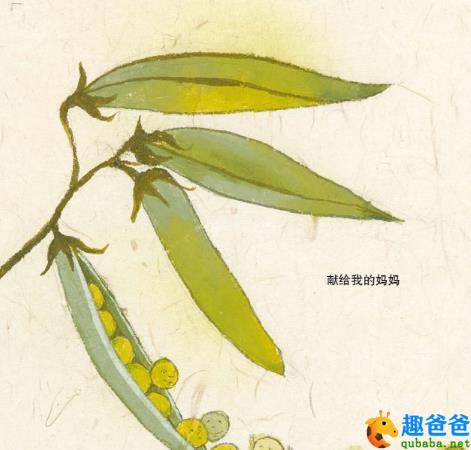 五颗小豌豆的故事