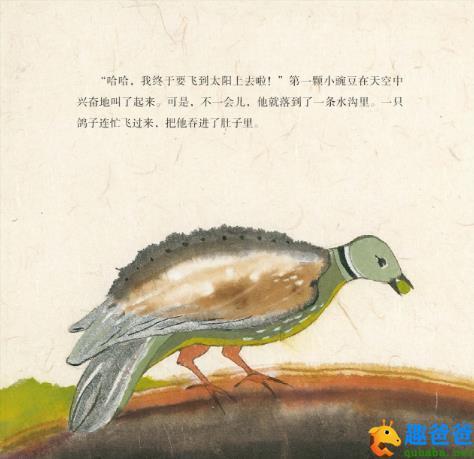 五颗小豌豆的故事