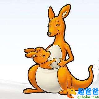 袋鼠妈妈有个袋袋2.jpg