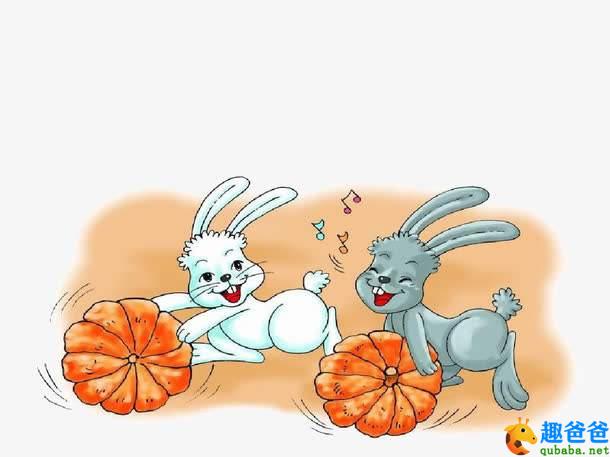 小白兔和小灰兔1.jpg 小白兔和小灰兔1.jpg