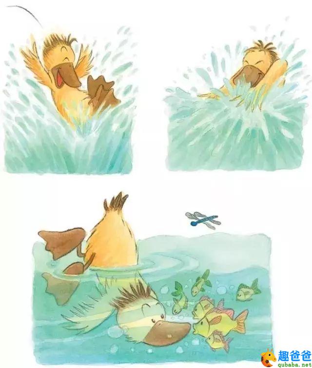 傻傻的小鸭子3.jpeg