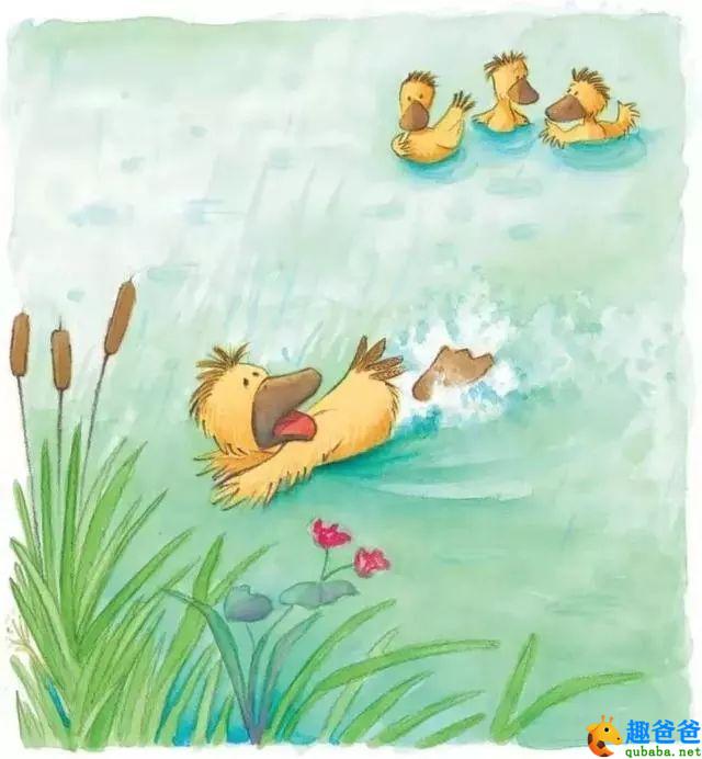 傻傻的小鸭子4.jpeg