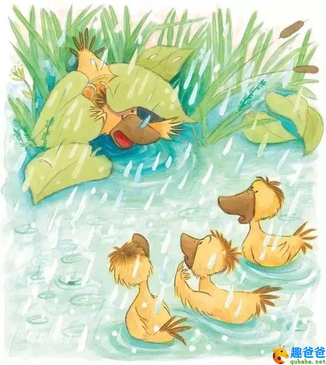 傻傻的小鸭子5.jpeg