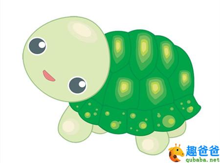 小乌龟的两个半愿望