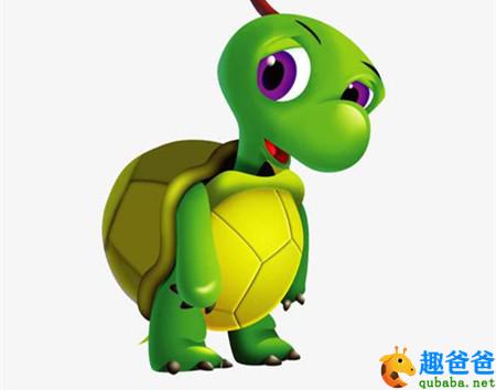 小乌龟2.jpg