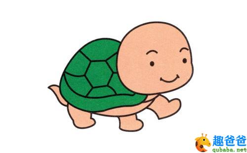 小乌龟3.jpg