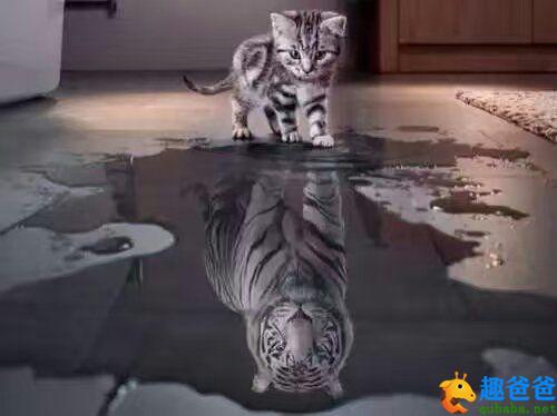 照猫画虎的故事及寓意