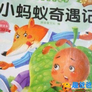 一只勇敢的小蚂蚁