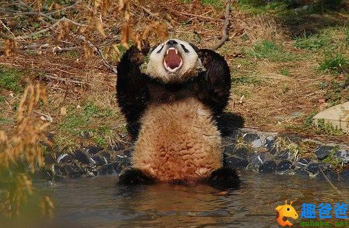 20个超级搞笑的笑话