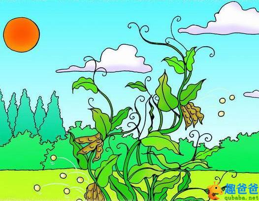 母爱是什么，看看豌豆妈妈就知道了！