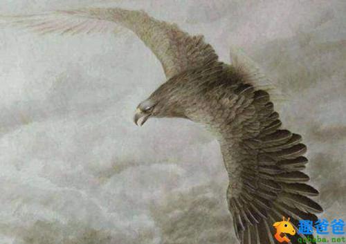 庄子 逍遥游2.jpg