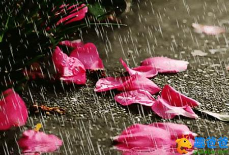 化作春泥更护花的上一句是什么