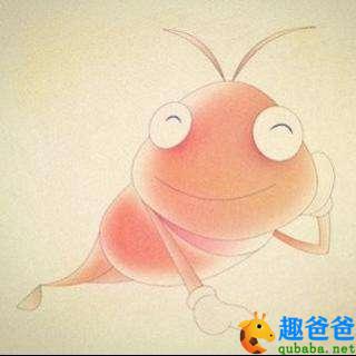 跳蚤打败狮子了