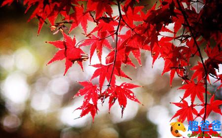 远上寒山石径斜 白云深处有人家