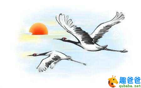 有位老人是这样疼爱仙鹤的