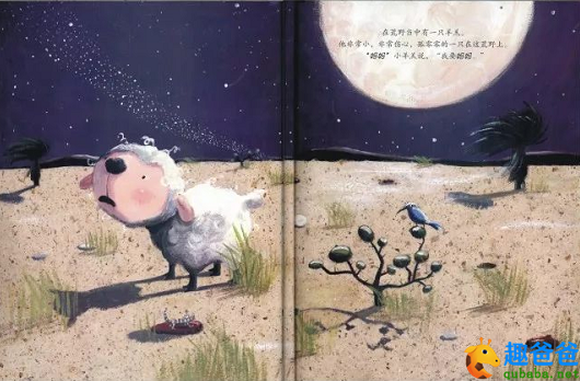 袋鼠宝宝小羊羔