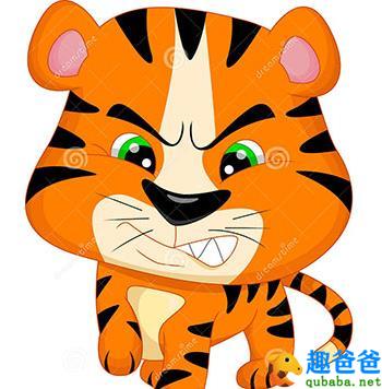 撞到枪口上的小老虎