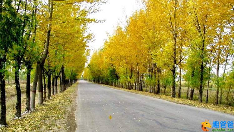 描写风的诗句，春风得意马蹄疾