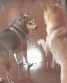 幽默段子：第一次去男朋友家，晚上我睡的客房，睡前腻歪了一会