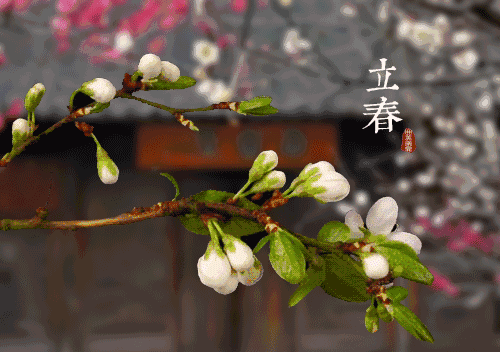 立春为什么会有咬春的习俗?