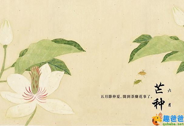 关于芒种的古诗