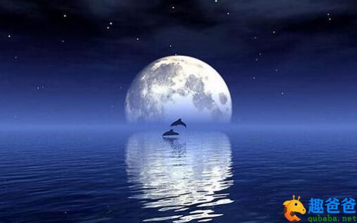 关于月亮的故事
