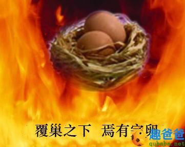 覆巢之下，焉有完卵的故事