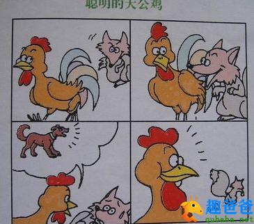 聪明鸡和笨狐狸（聪明的大公鸡）