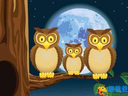 森林里的卫士猫头鹰站岗