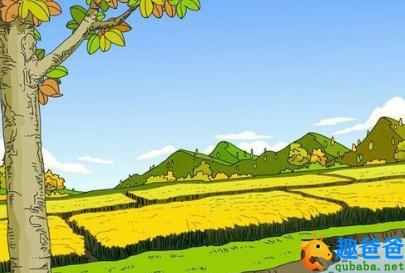 在田野上捡到的“开心”