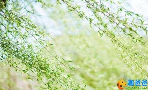 二月春风似剪刀的全诗