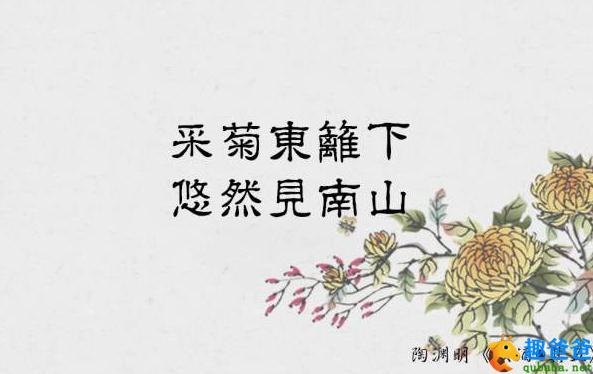 采菊东篱下 悠然见南山全诗