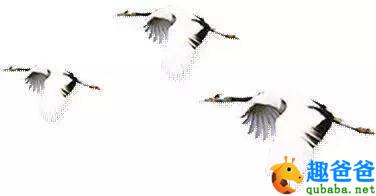 西塞山前白鹭飞桃花流水鳜鱼肥