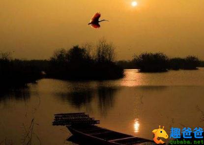 孤山寺端上人房写望