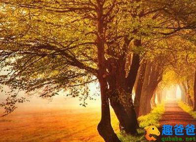 关于秋天的诗词