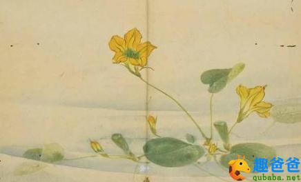 国风·卫风·木瓜-木瓜原文、翻译及赏析_古诗