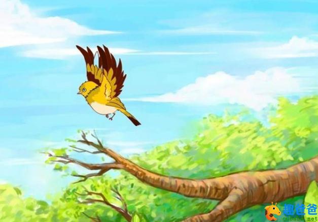 初次离开妈妈的黄鹂鸟