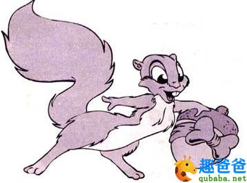 小松鼠今天真高兴