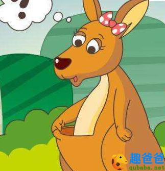 袋鼠妹妹的口袋