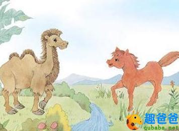 小骆驼和小红马