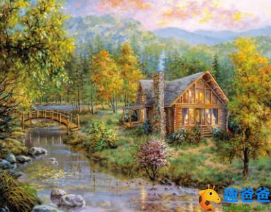 神奇的森林小屋